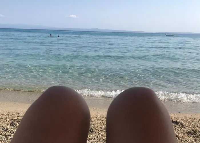 Lazidis * 폴리크로노